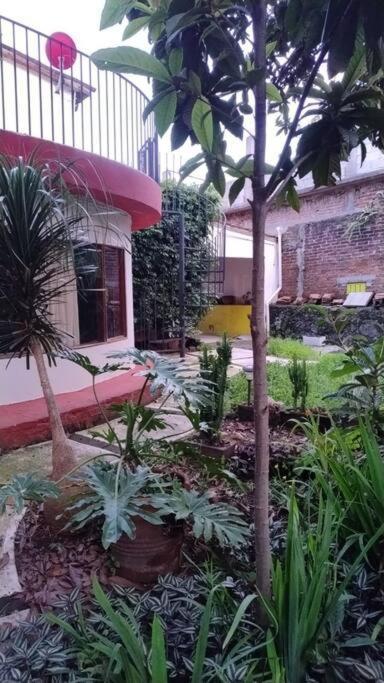 Villa Linda Casa En Tepoztlan Centro 1 Exterior foto